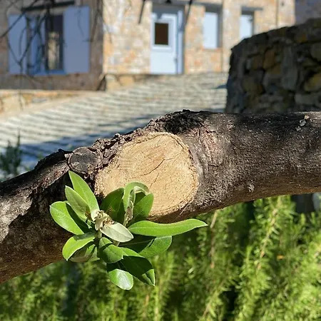 Βίλα Laas Daskios, Stone Country House, Anania