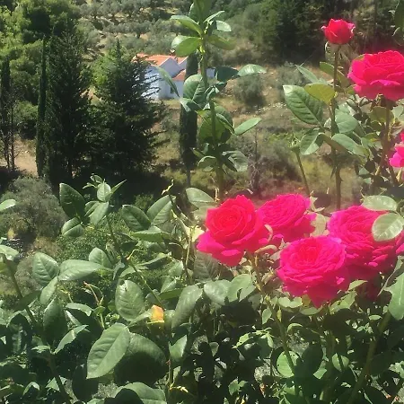 Laas Daskios, Stone Country House, Anania *