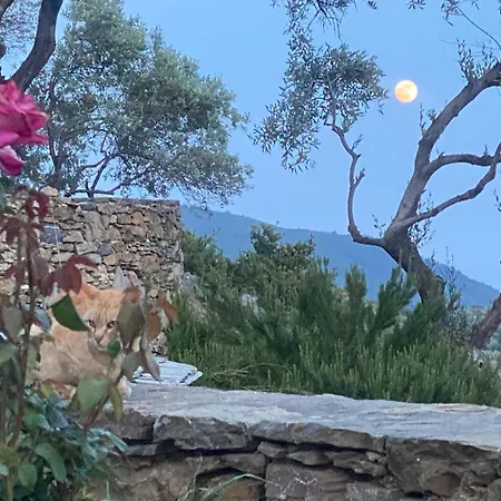 Laas Daskios, Stone Country House, Anania Villa *