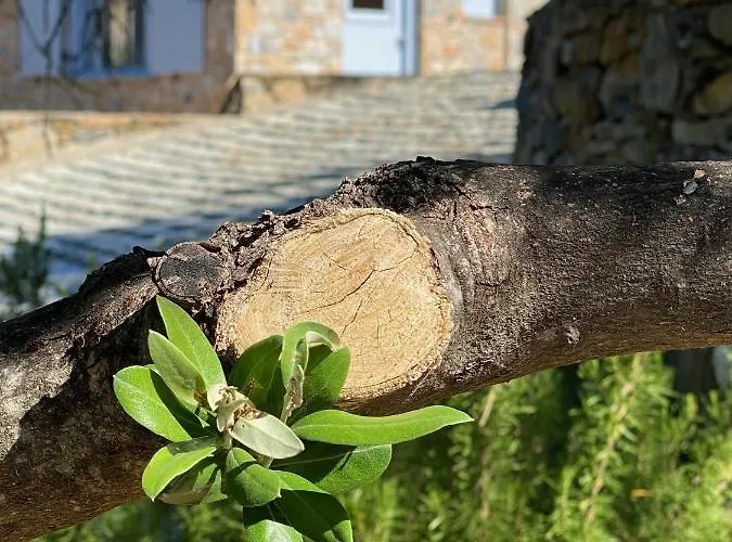 ヴィラ Laas Daskios, Stone Country House, Anania