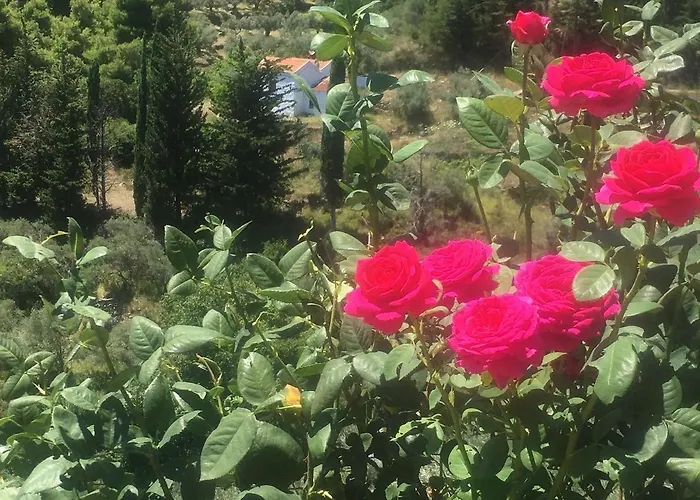 Laas Daskios, Stone Country House, Anania *