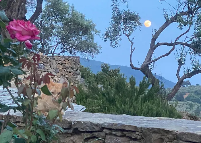 Laas Daskios, Stone Country House, Anania Vila *